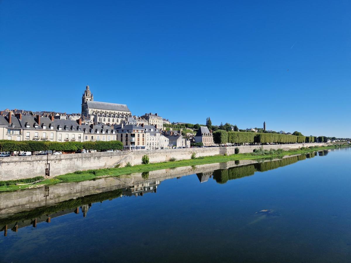 Le Saint Jean Et Son Parking Privee Apartamento Blois Exterior foto