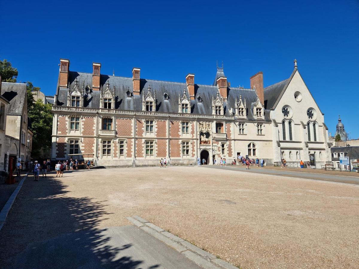 Le Saint Jean Et Son Parking Privee Apartamento Blois Exterior foto